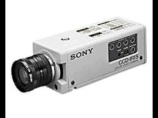 Sony DXC107A/1  - CCD - Видеокамеры - 
