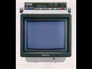 Sony EVM-8010R  - Цветные - Видеомониторы - 
