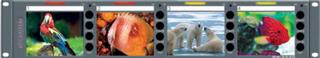 PANORAMAdtv RM-2440  - LCD - Видеомониторы - 